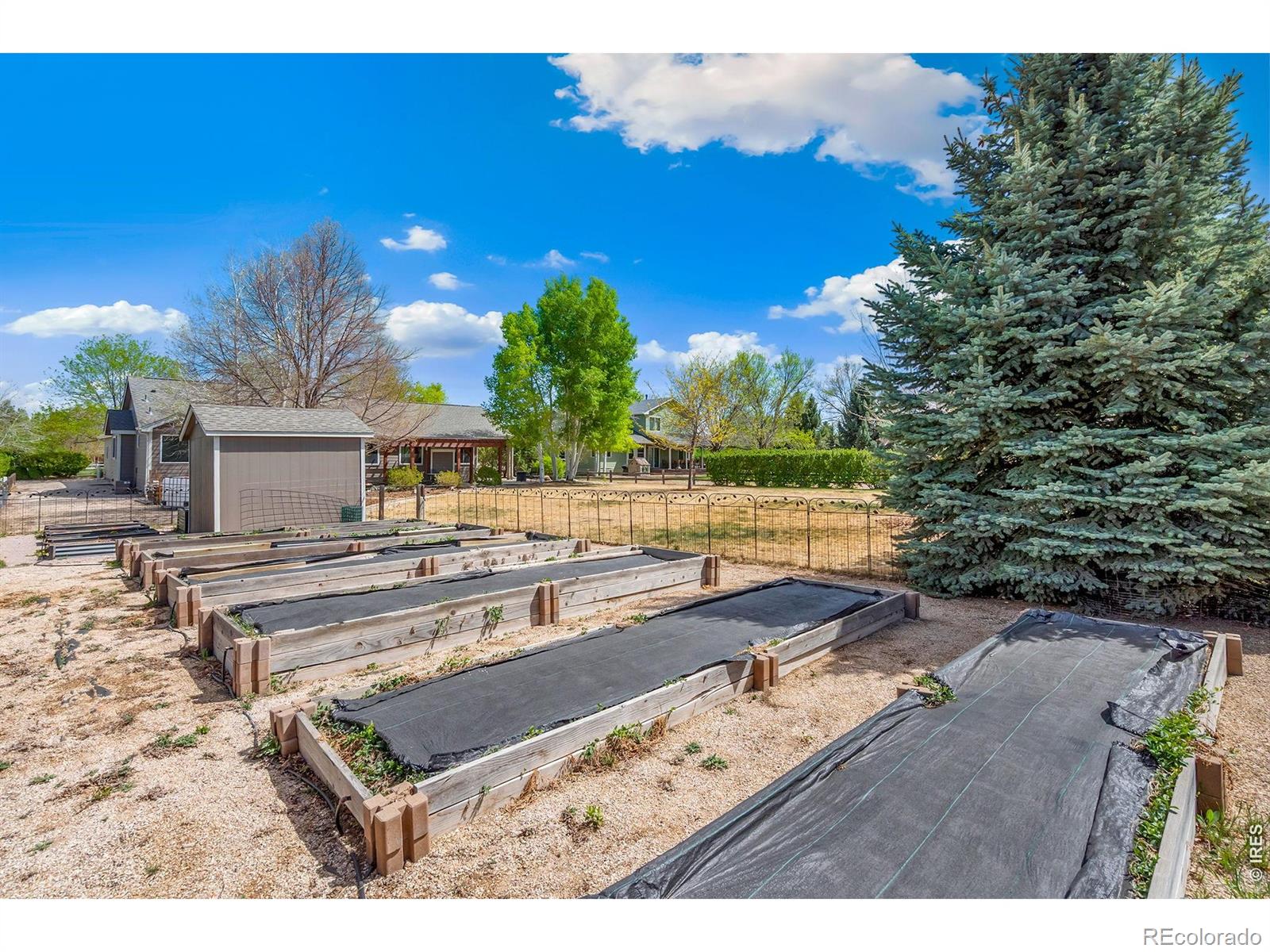 MLS Image #37 for 2177  burbank street,berthoud, Colorado