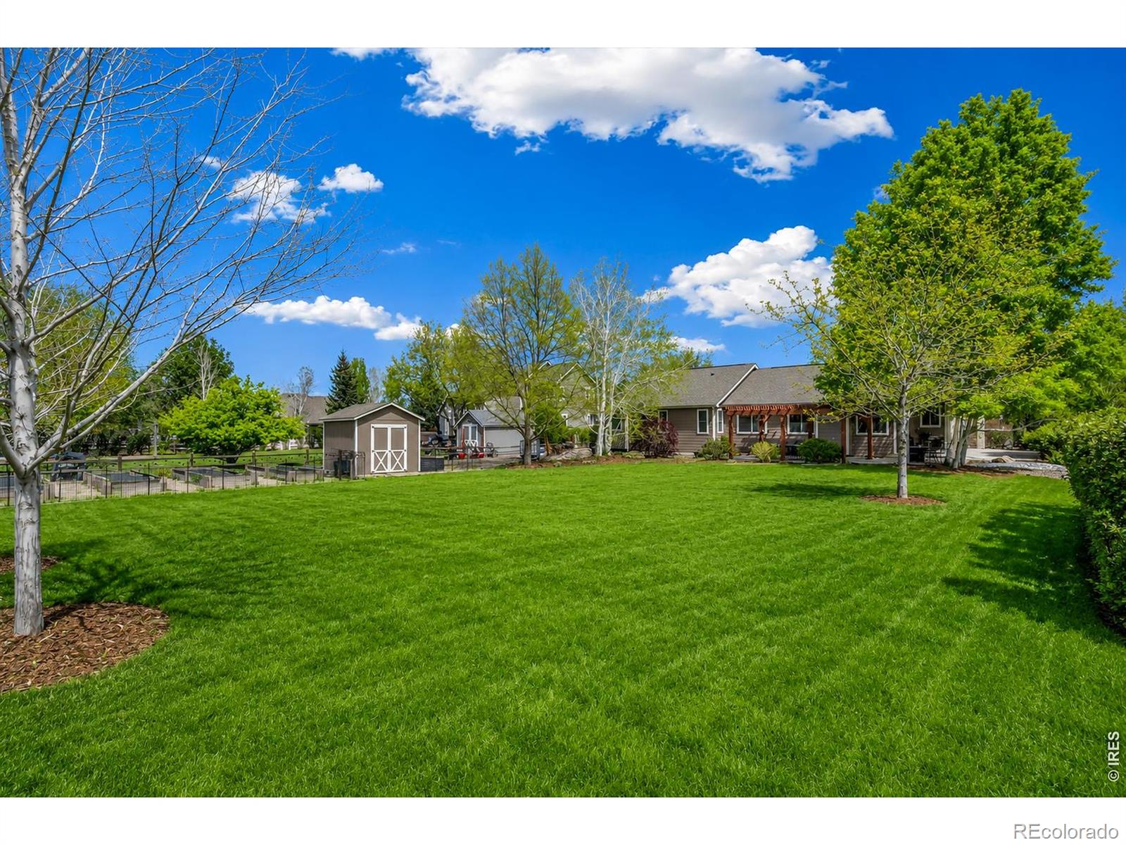 MLS Image #47 for 2177  burbank street,berthoud, Colorado