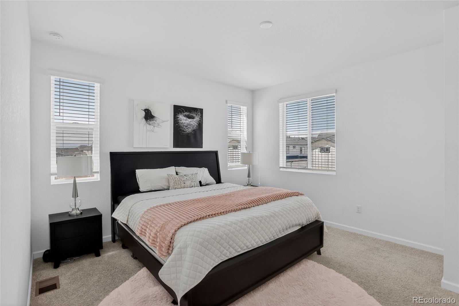 MLS Image #14 for 22811 e stanford lane,aurora, Colorado