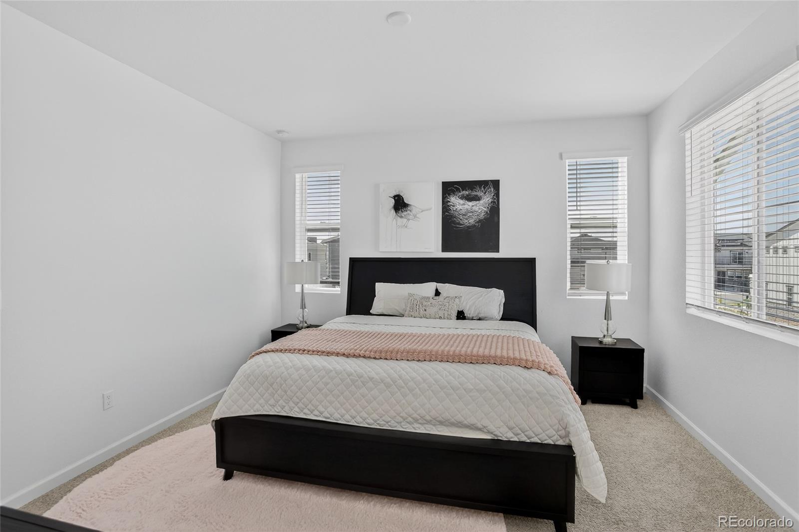 MLS Image #15 for 22811 e stanford lane,aurora, Colorado