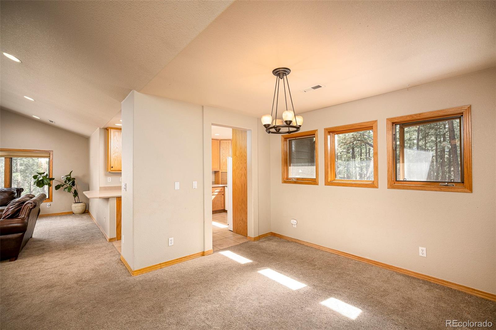 MLS Image #42 for 5014 s perry park road,sedalia, Colorado