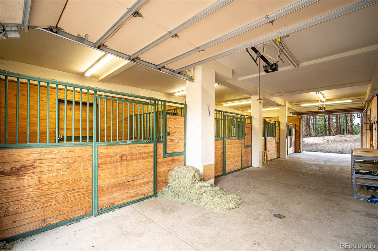 MLS Image #45 for 5014 s perry park road,sedalia, Colorado