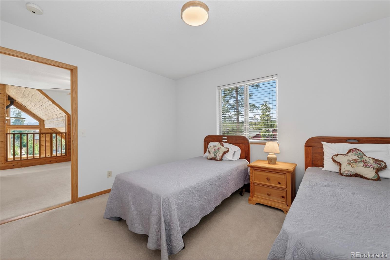 MLS Image #32 for 17  county road 4435 ,grand lake, Colorado