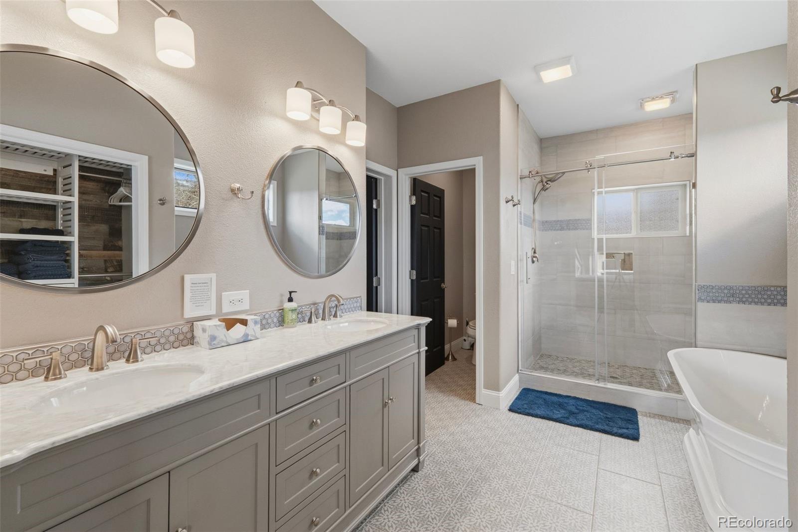 MLS Image #12 for 245 e coyote court,silverthorne, Colorado
