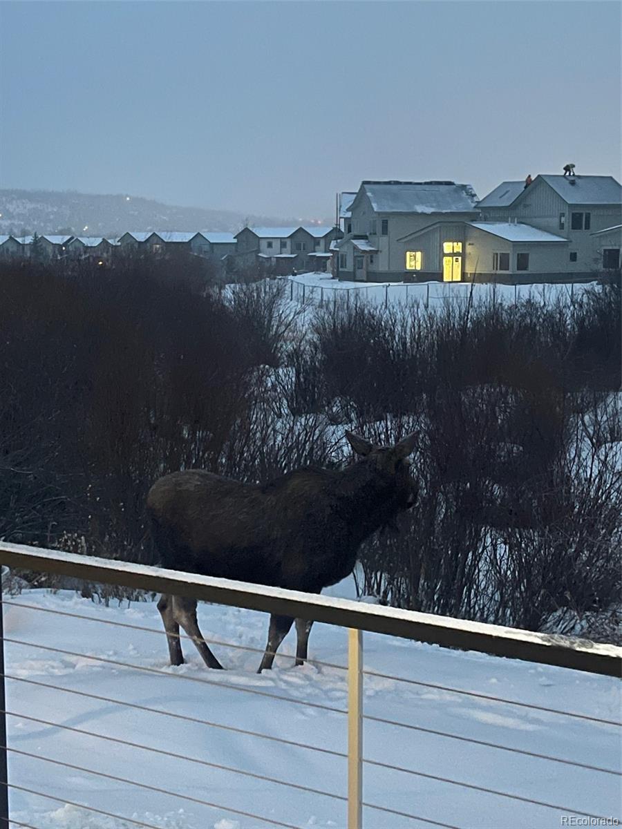 MLS Image #26 for 245 e coyote court,silverthorne, Colorado