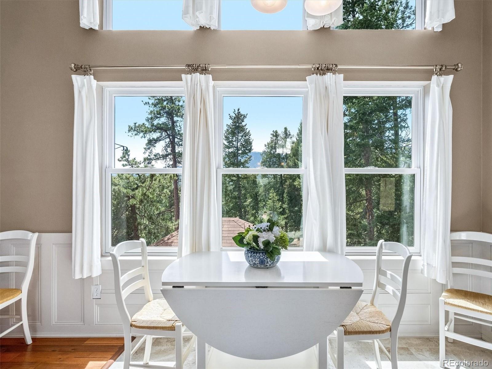 MLS Image #10 for 33847  hemlock lane,evergreen, Colorado