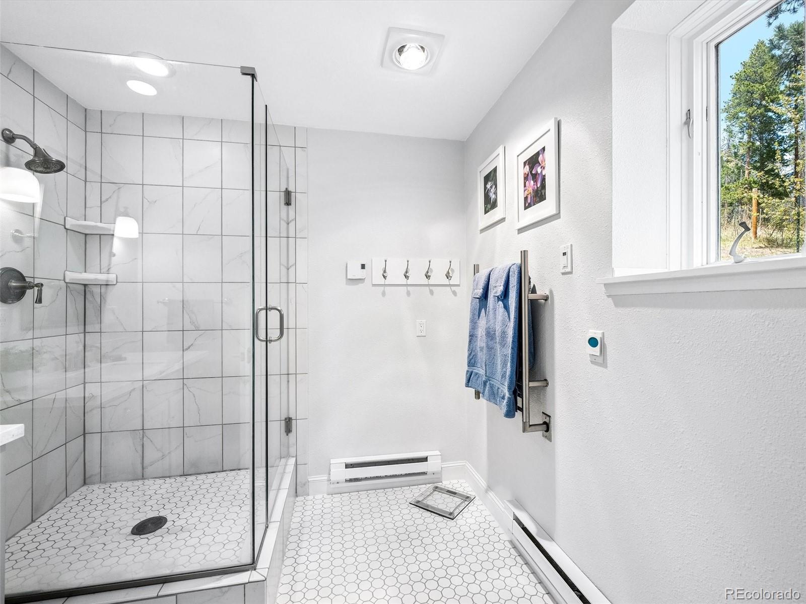 MLS Image #25 for 33847  hemlock lane,evergreen, Colorado