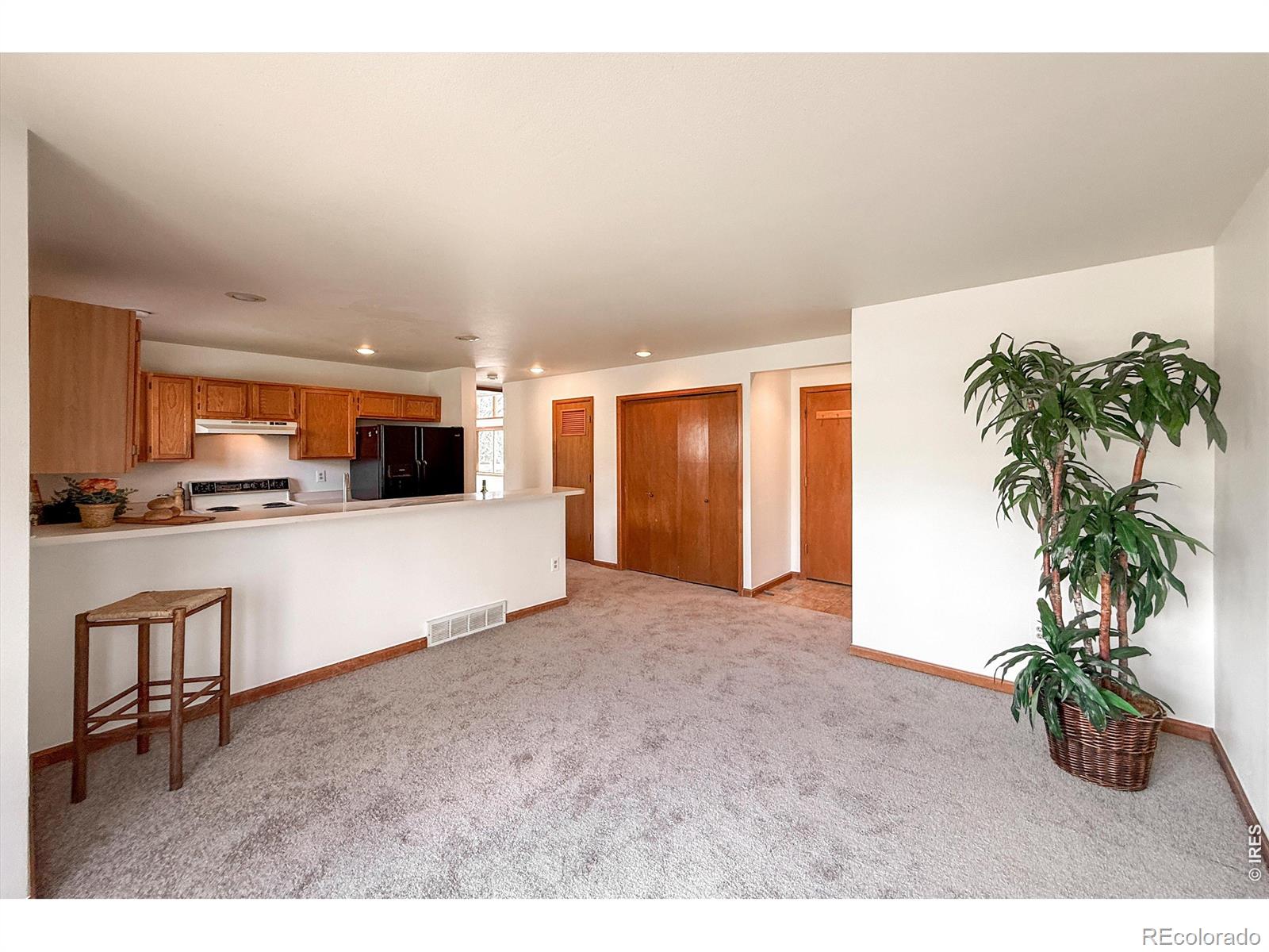 MLS Image #21 for 202  welch drive,lyons, Colorado