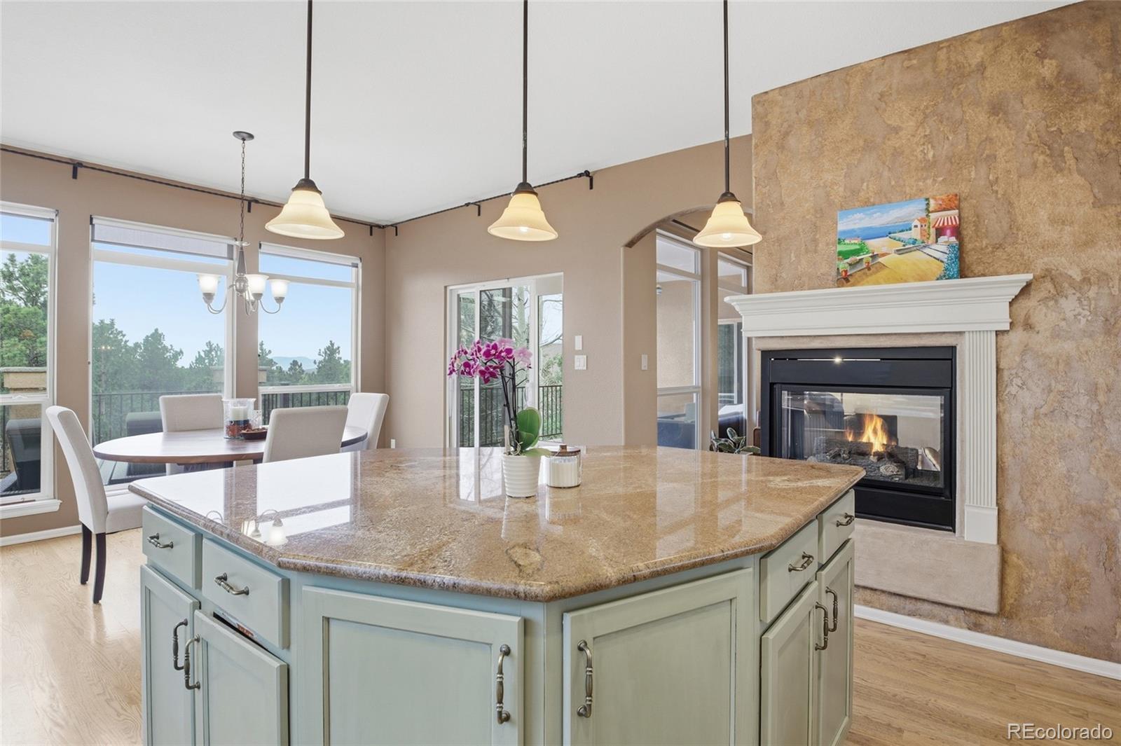 MLS Image #15 for 1615  capadaro court,monument, Colorado