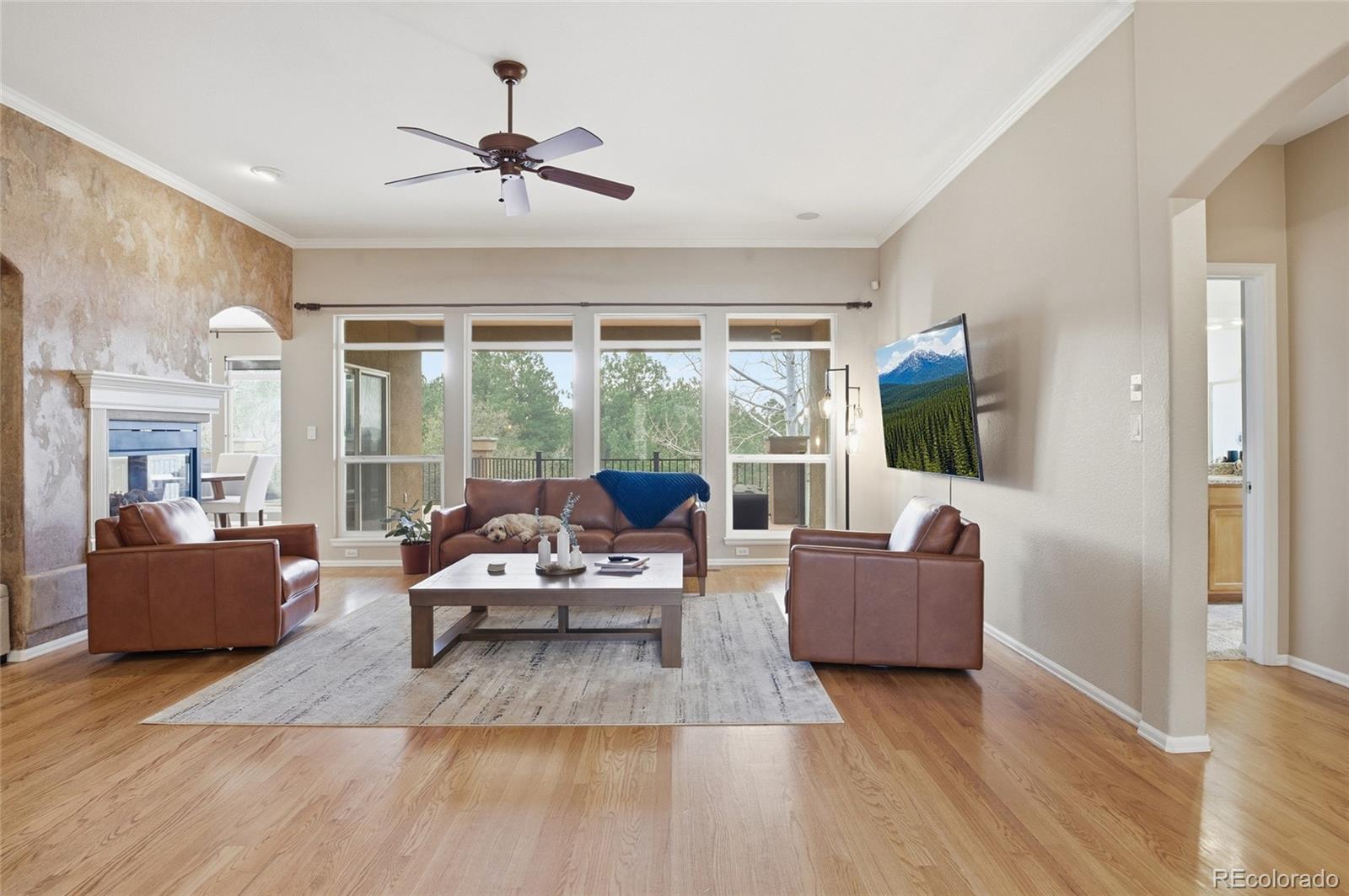 MLS Image #3 for 1615  capadaro court,monument, Colorado