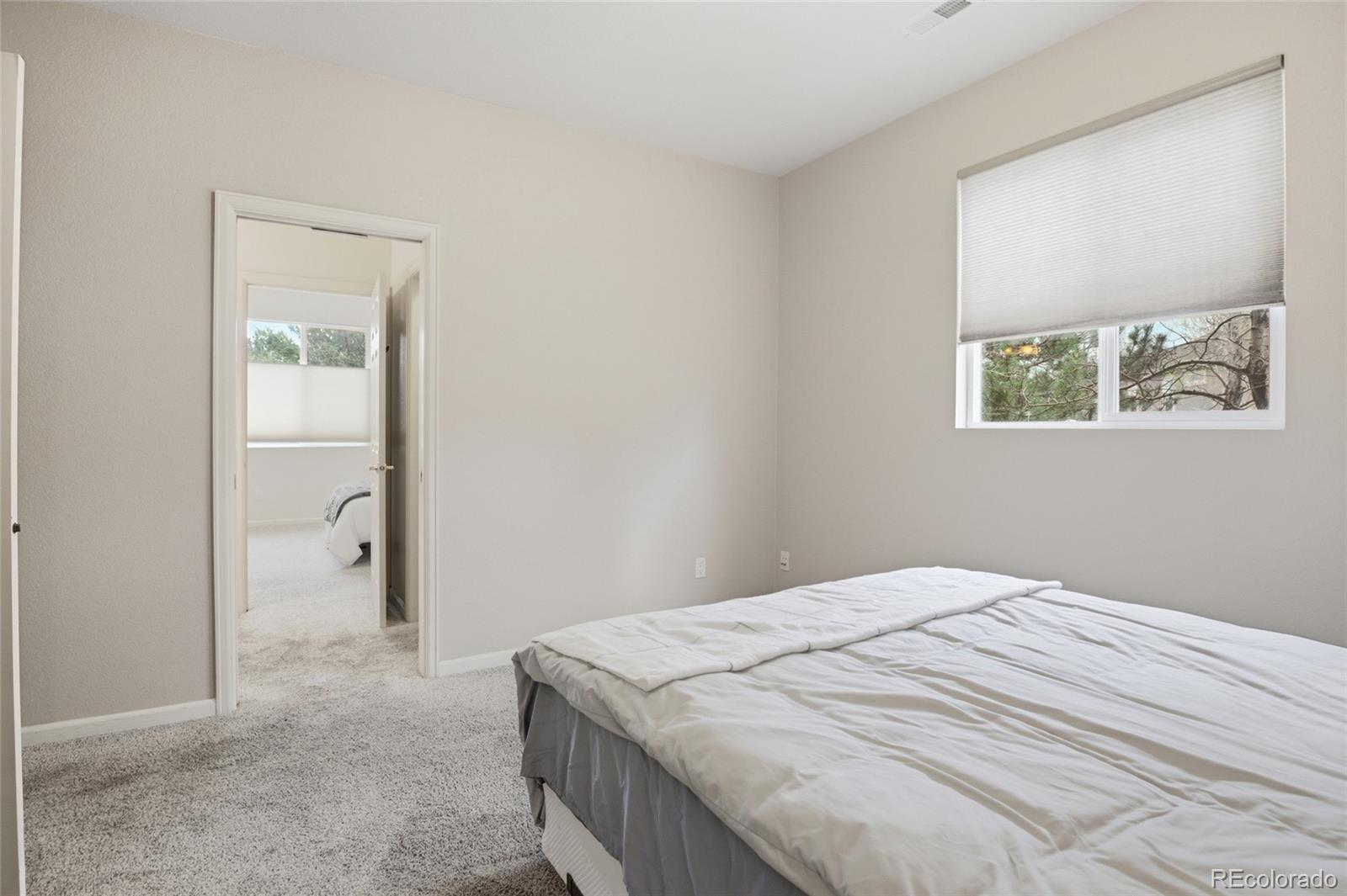 MLS Image #39 for 1615  capadaro court,monument, Colorado