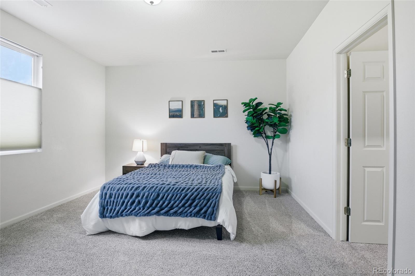 MLS Image #41 for 1615  capadaro court,monument, Colorado