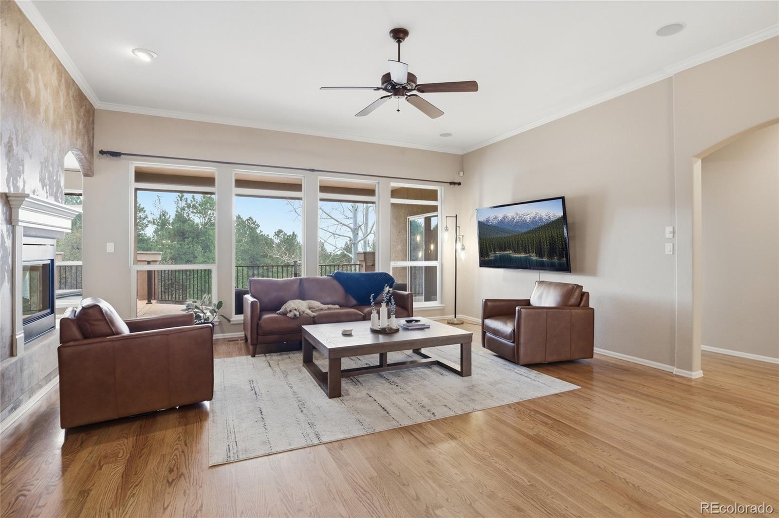 MLS Image #7 for 1615  capadaro court,monument, Colorado