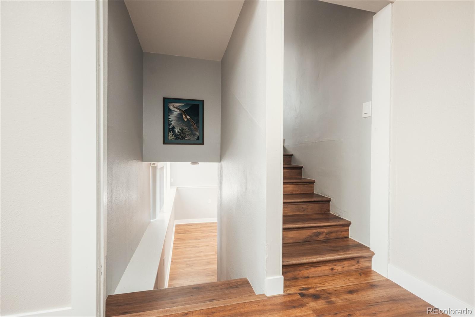 MLS Image #17 for 581  del norte street,denver, Colorado