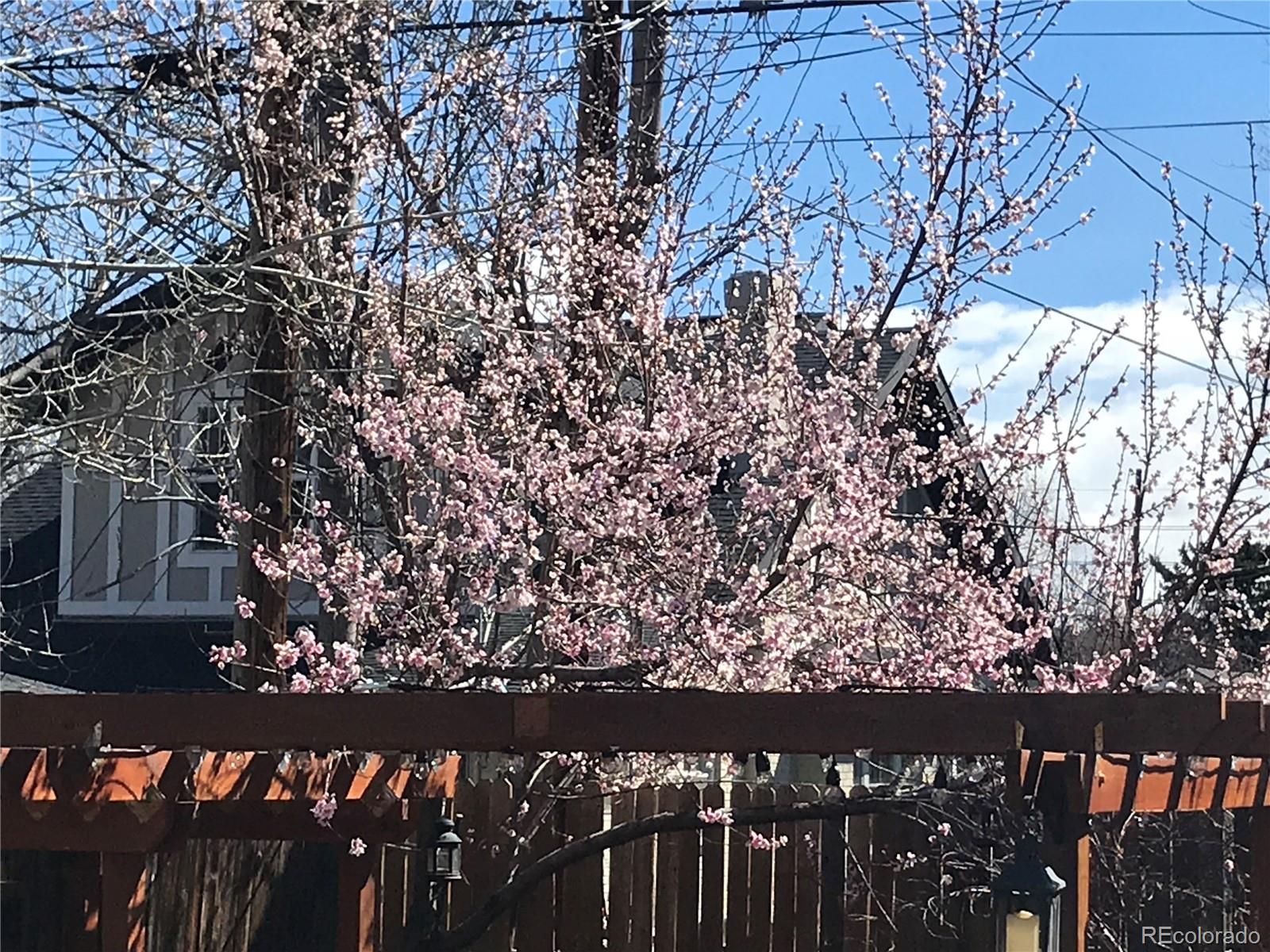 MLS Image #48 for 1058  garfield street,denver, Colorado