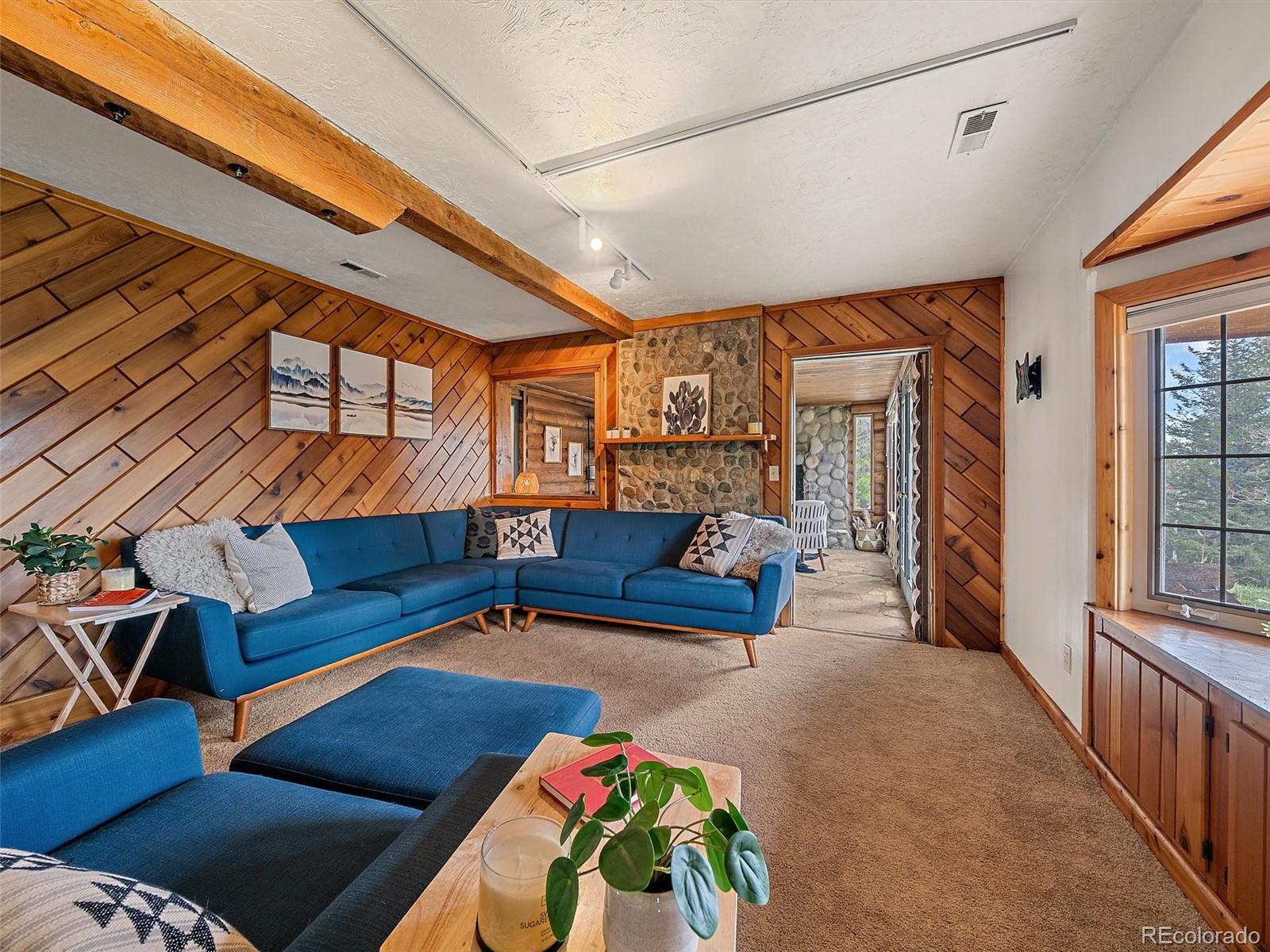 MLS Image #10 for 1406  sinton road,evergreen, Colorado