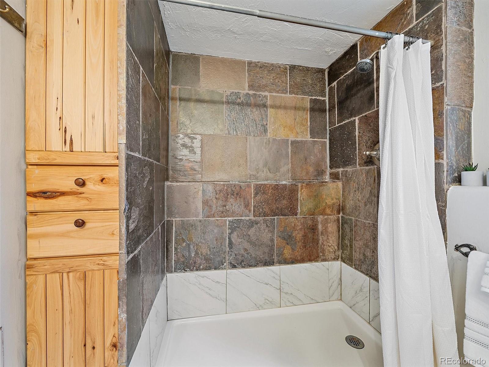 MLS Image #21 for 1406  sinton road,evergreen, Colorado