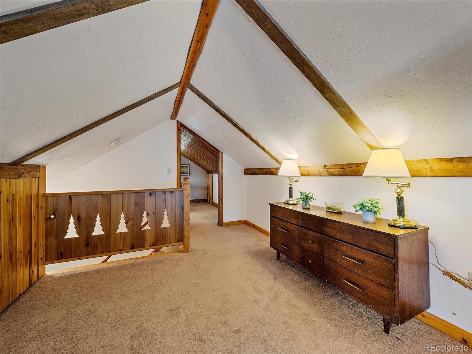 MLS Image #27 for 1406  sinton road,evergreen, Colorado