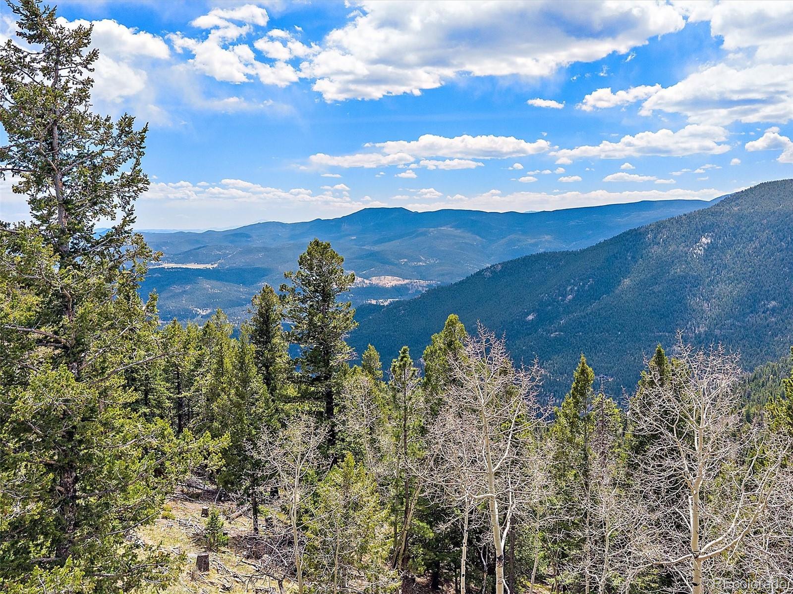 MLS Image #40 for 1406  sinton road,evergreen, Colorado