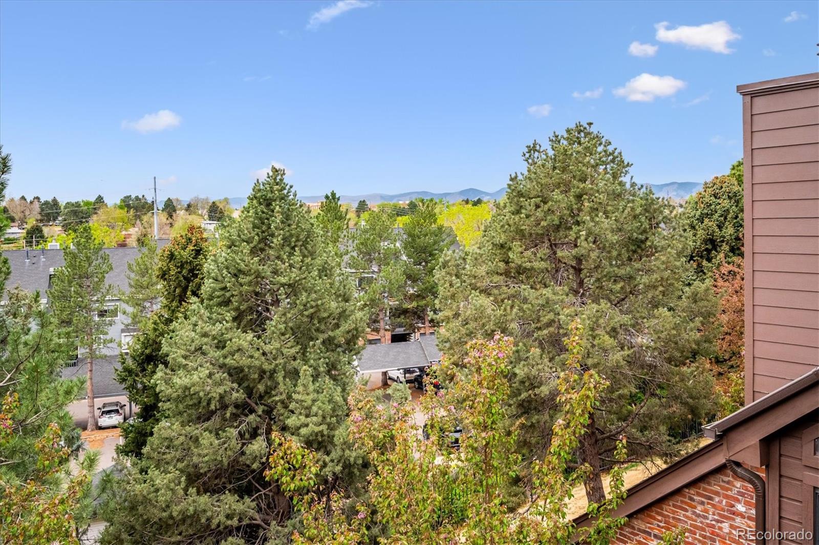 MLS Image #1 for 846 s vance street,lakewood, Colorado