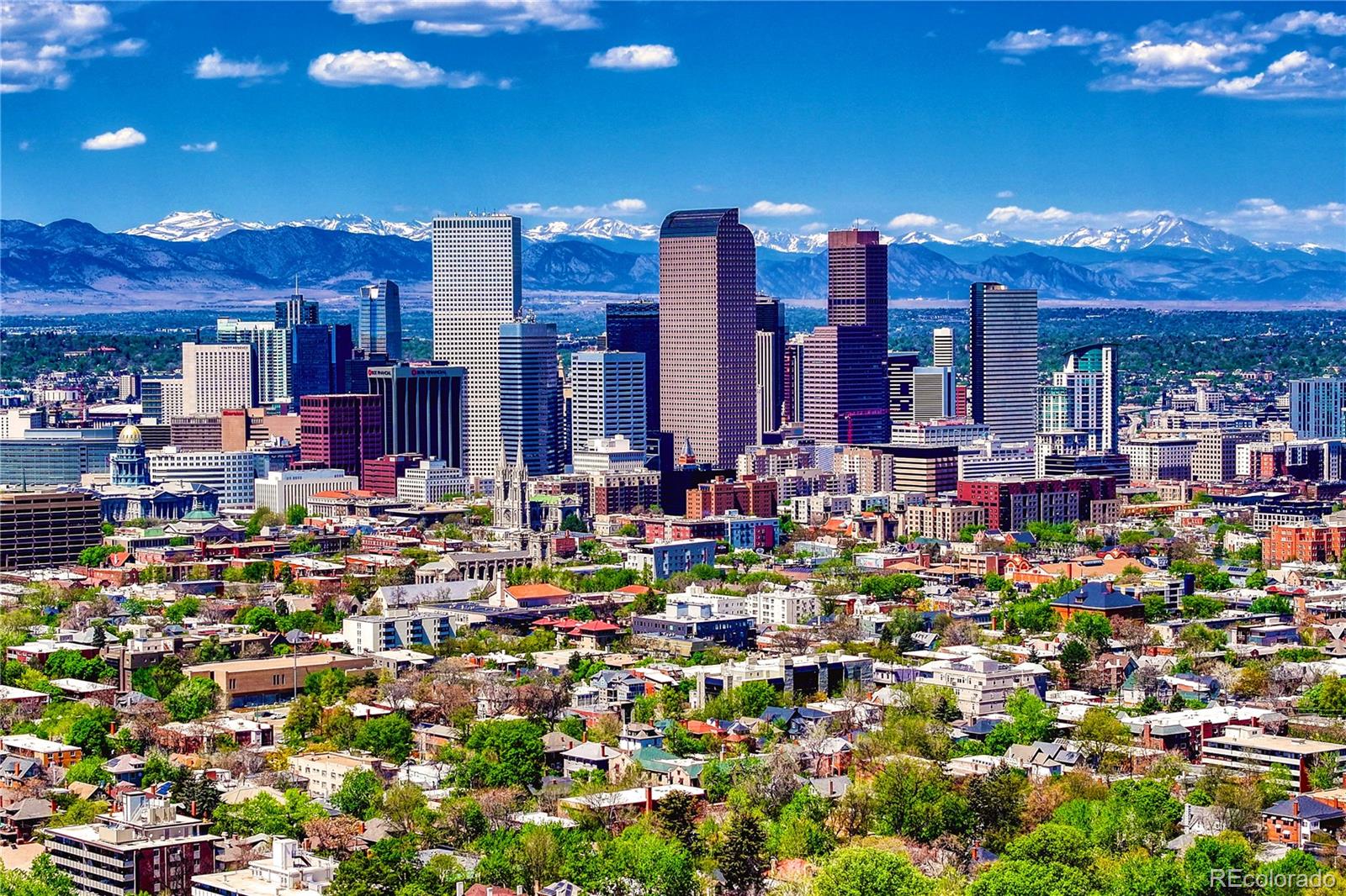MLS Image #31 for 1333  vine street,denver, Colorado