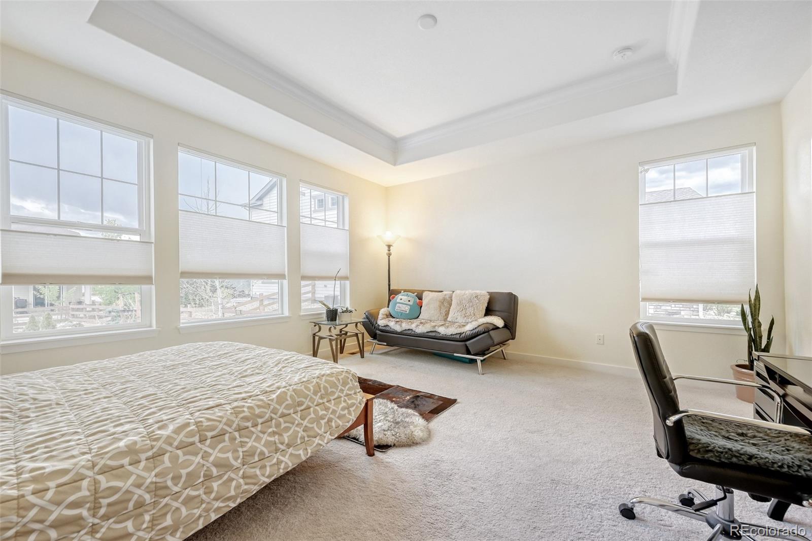 MLS Image #16 for 9581  eldora street,arvada, Colorado