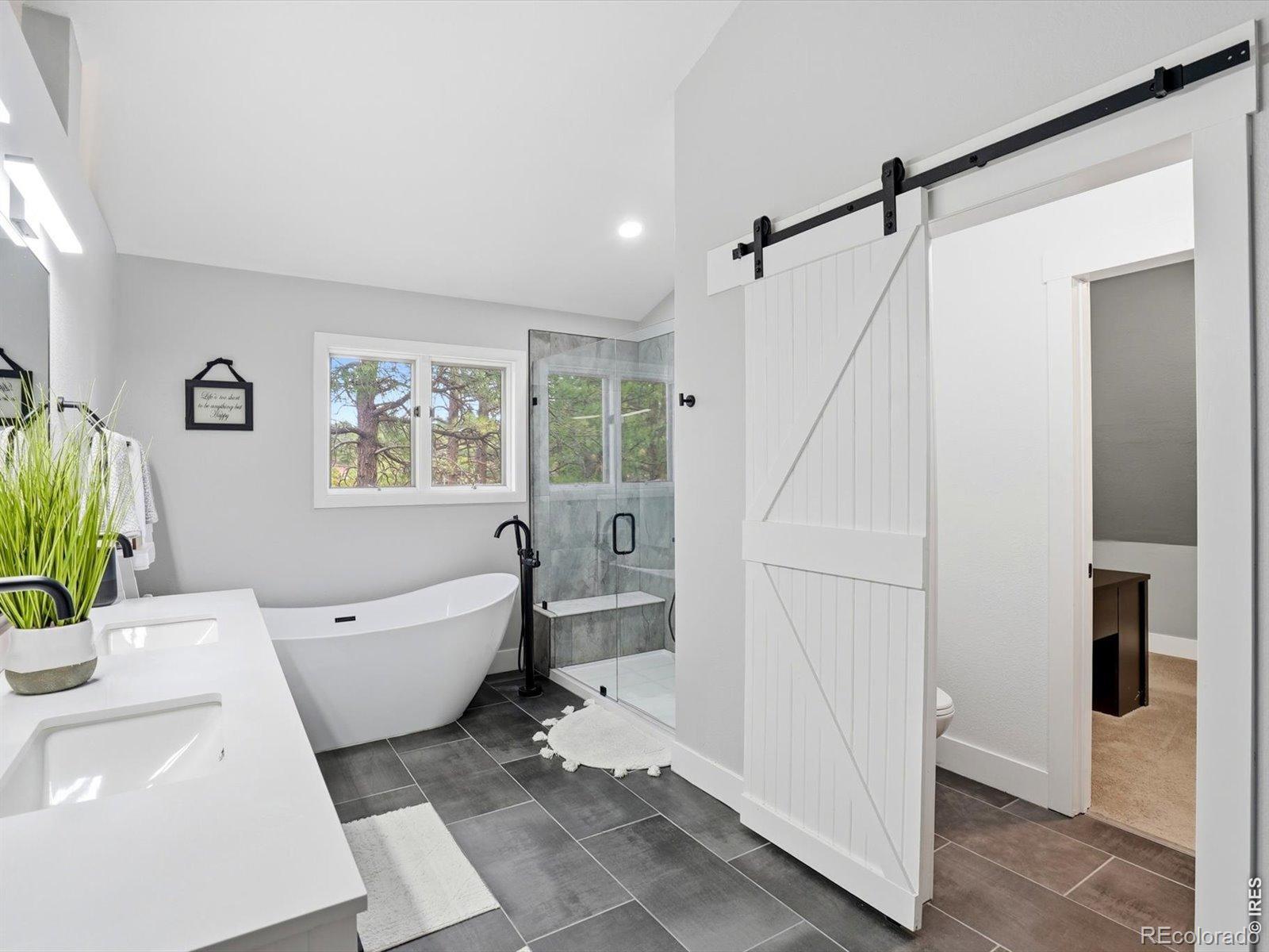 MLS Image #20 for 8987  village pines circle,franktown, Colorado
