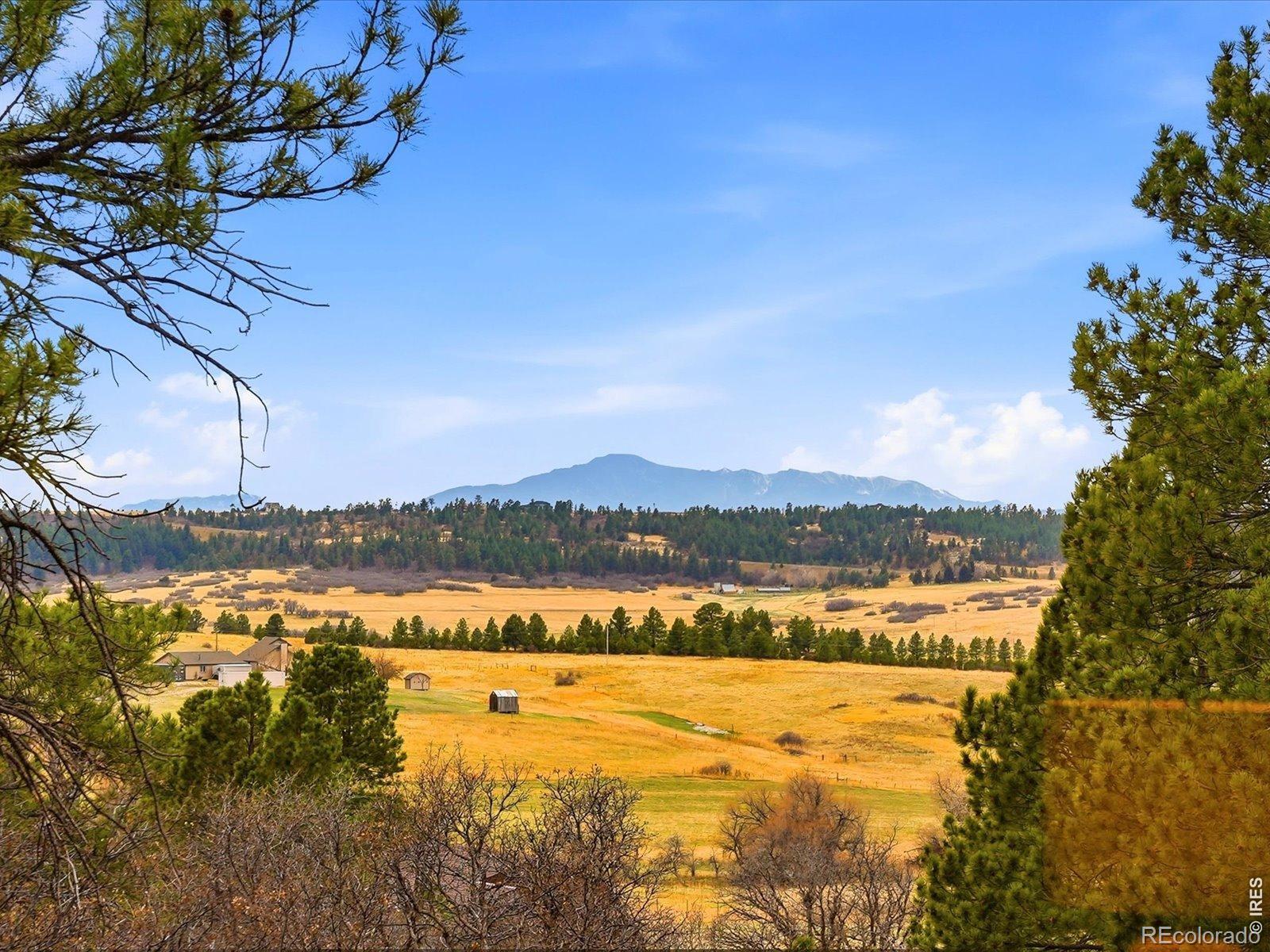 MLS Image #36 for 8987  village pines circle,franktown, Colorado
