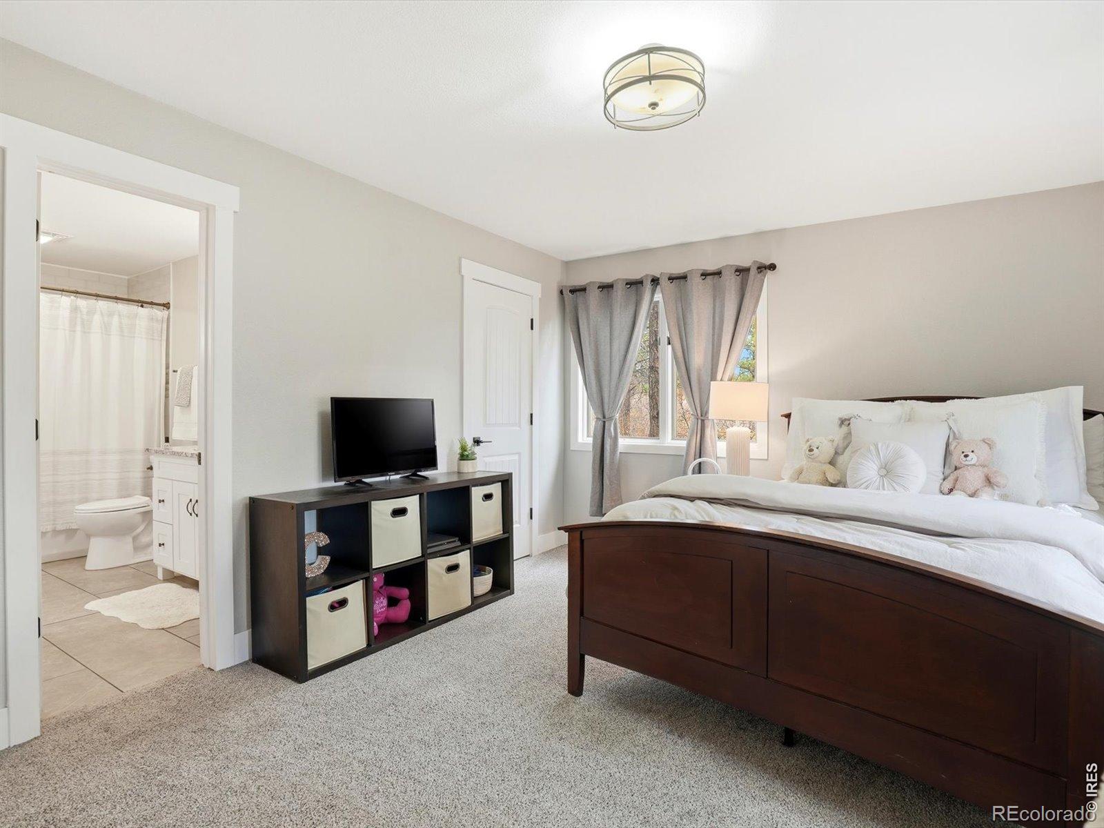 MLS Image #9 for 8987  village pines circle,franktown, Colorado