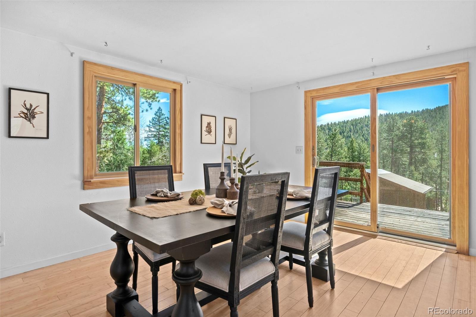 MLS Image #11 for 31854  ponderosa way,evergreen, Colorado