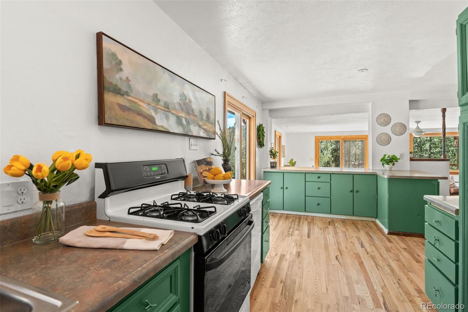 MLS Image #17 for 31854  ponderosa way,evergreen, Colorado