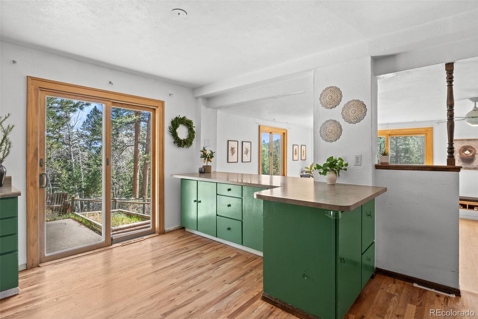 MLS Image #19 for 31854  ponderosa way,evergreen, Colorado