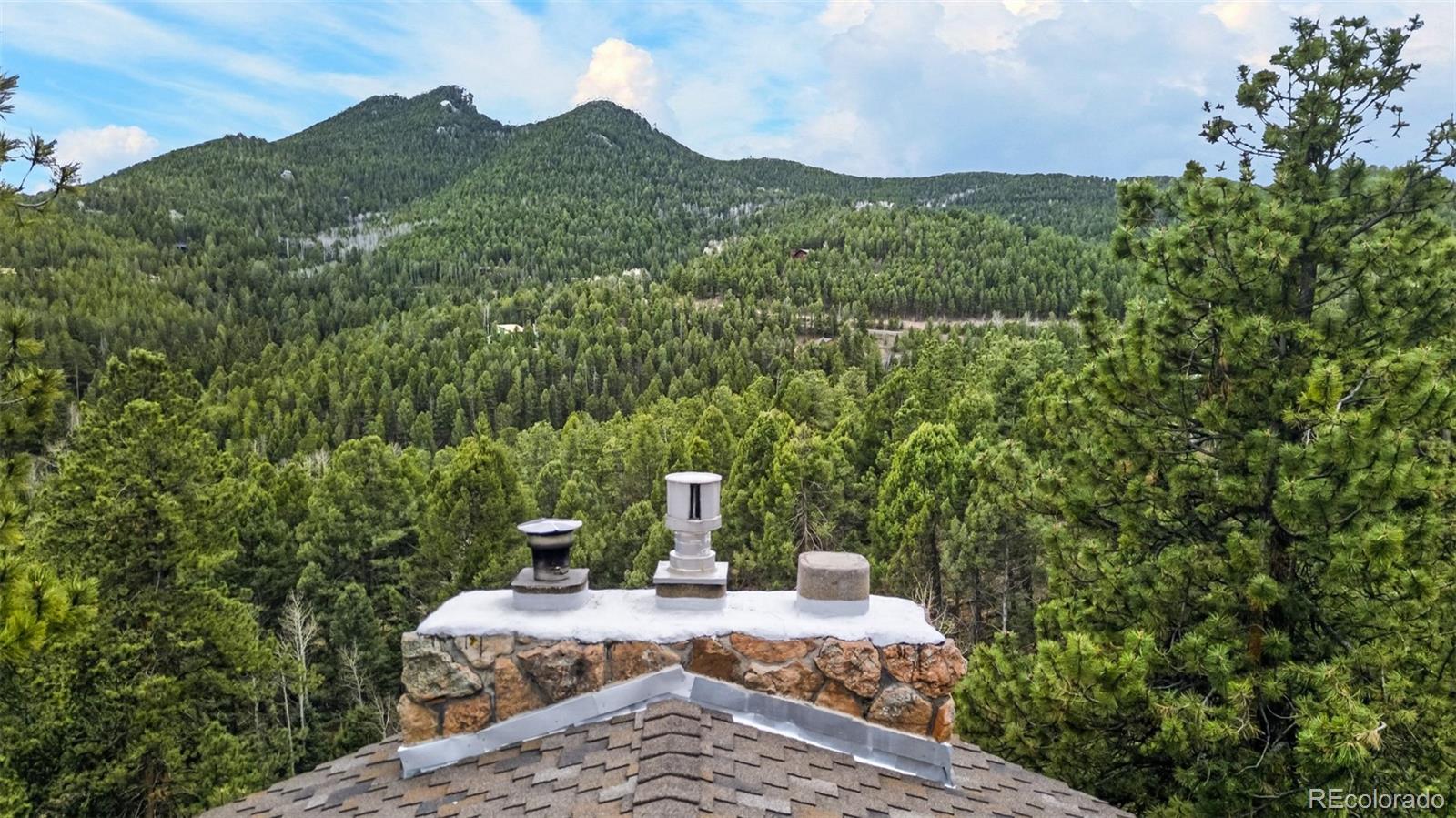MLS Image #10 for 11994  cochise circle,conifer, Colorado