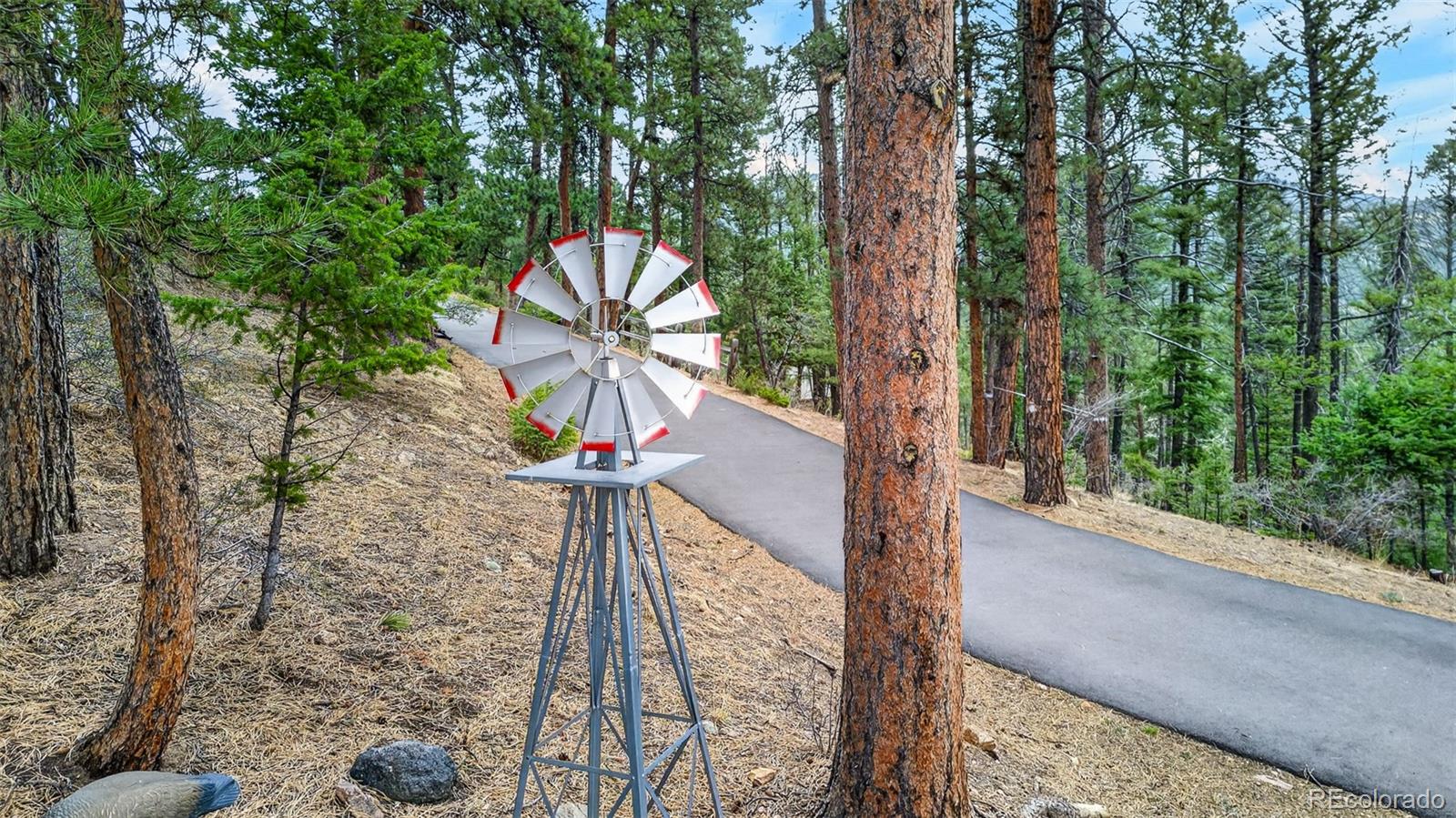 MLS Image #11 for 11994  cochise circle,conifer, Colorado
