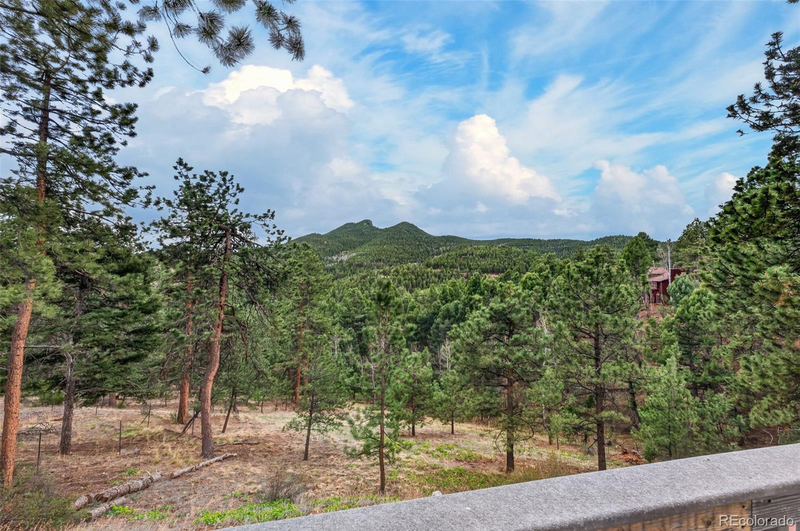 MLS Image #12 for 11994  cochise circle,conifer, Colorado
