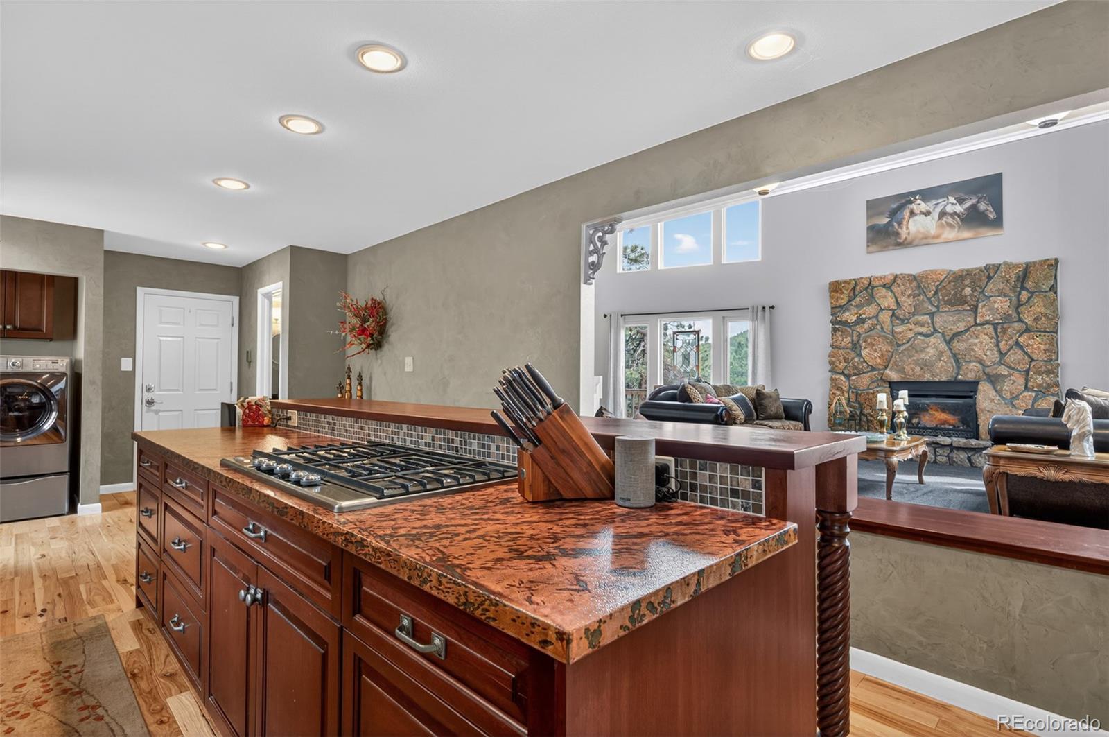 MLS Image #23 for 11994  cochise circle,conifer, Colorado