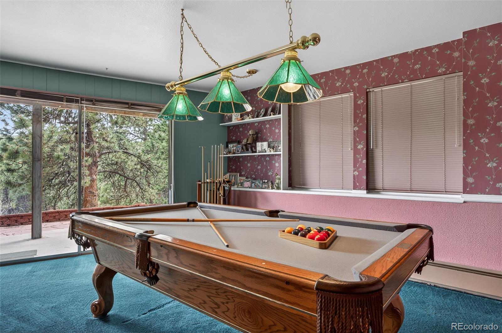 MLS Image #44 for 11994  cochise circle,conifer, Colorado