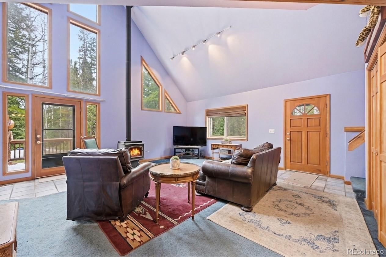 MLS Image #11 for 1419  little bear creek road,idaho springs, Colorado
