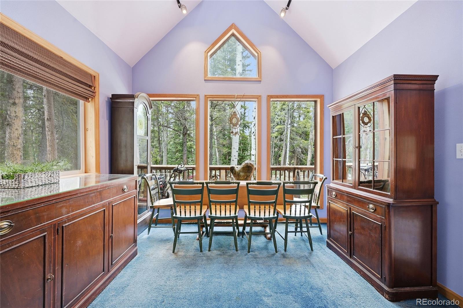 MLS Image #13 for 1419  little bear creek road,idaho springs, Colorado