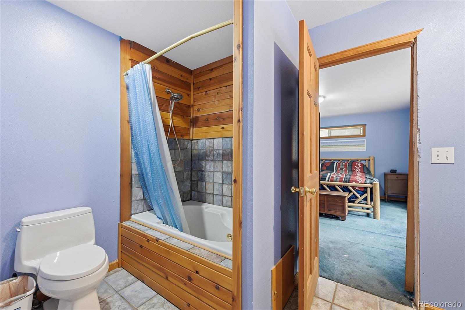 MLS Image #16 for 1419  little bear creek road,idaho springs, Colorado