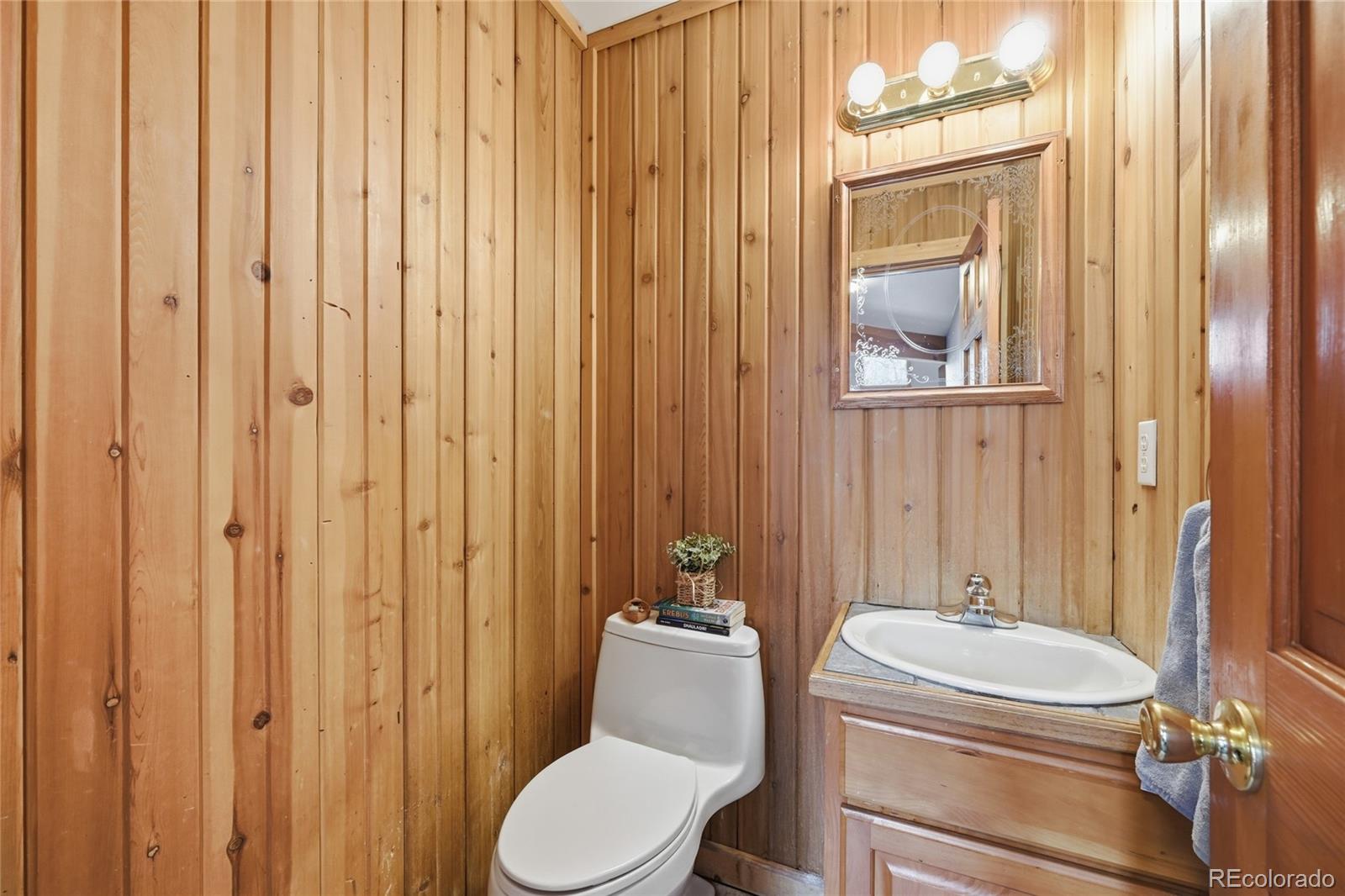 MLS Image #18 for 1419  little bear creek road,idaho springs, Colorado