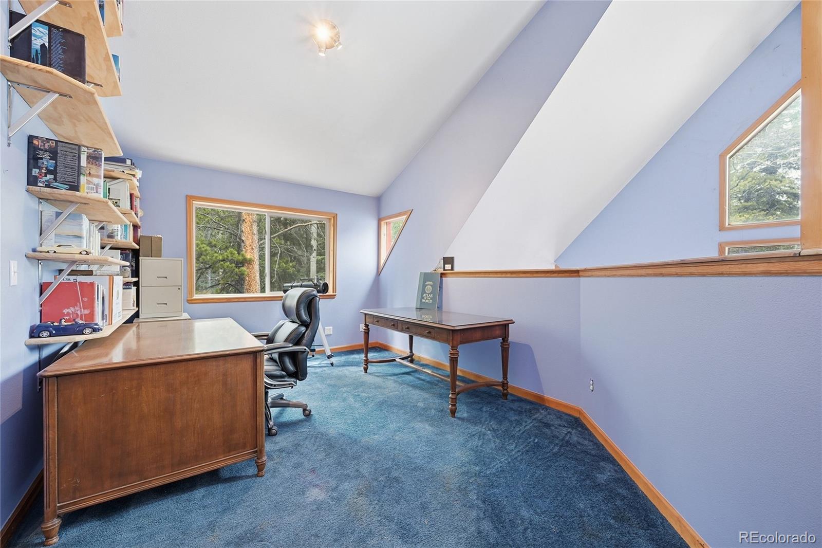 MLS Image #19 for 1419  little bear creek road,idaho springs, Colorado
