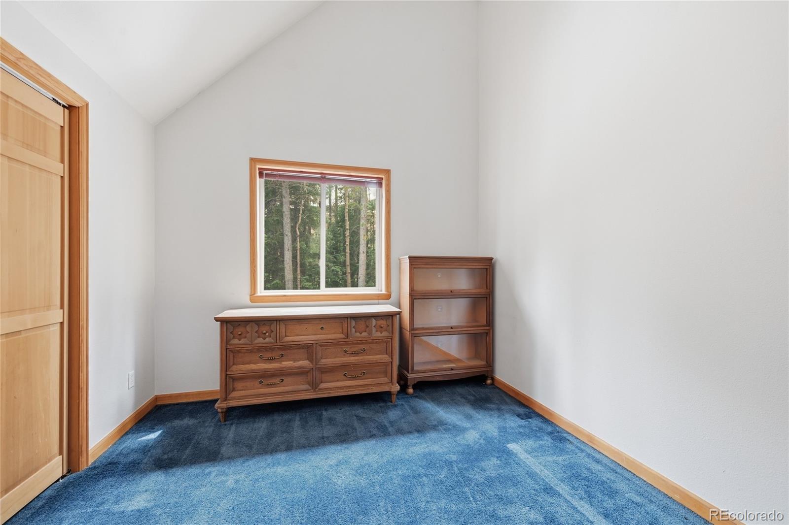 MLS Image #20 for 1419  little bear creek road,idaho springs, Colorado