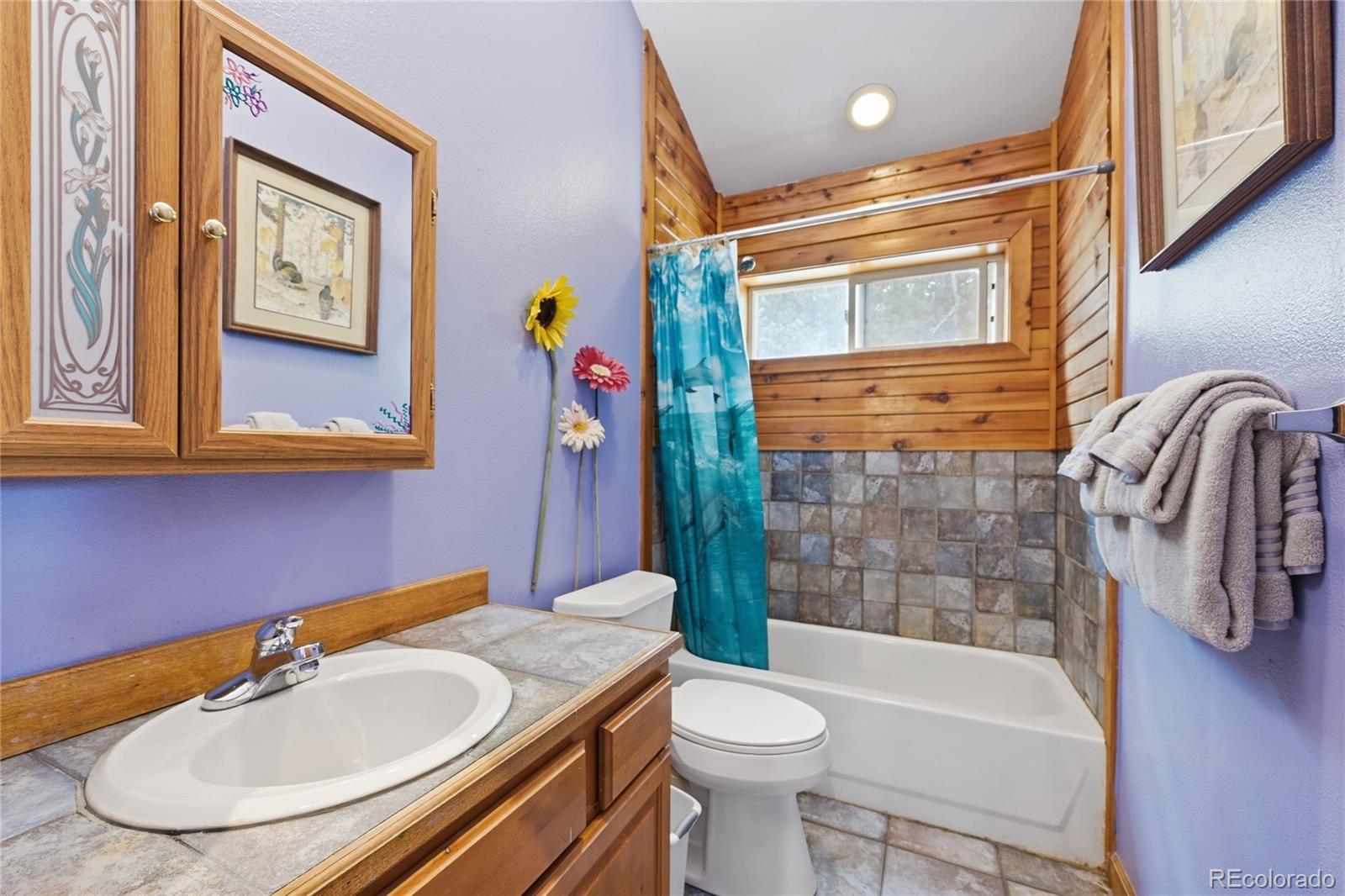 MLS Image #21 for 1419  little bear creek road,idaho springs, Colorado