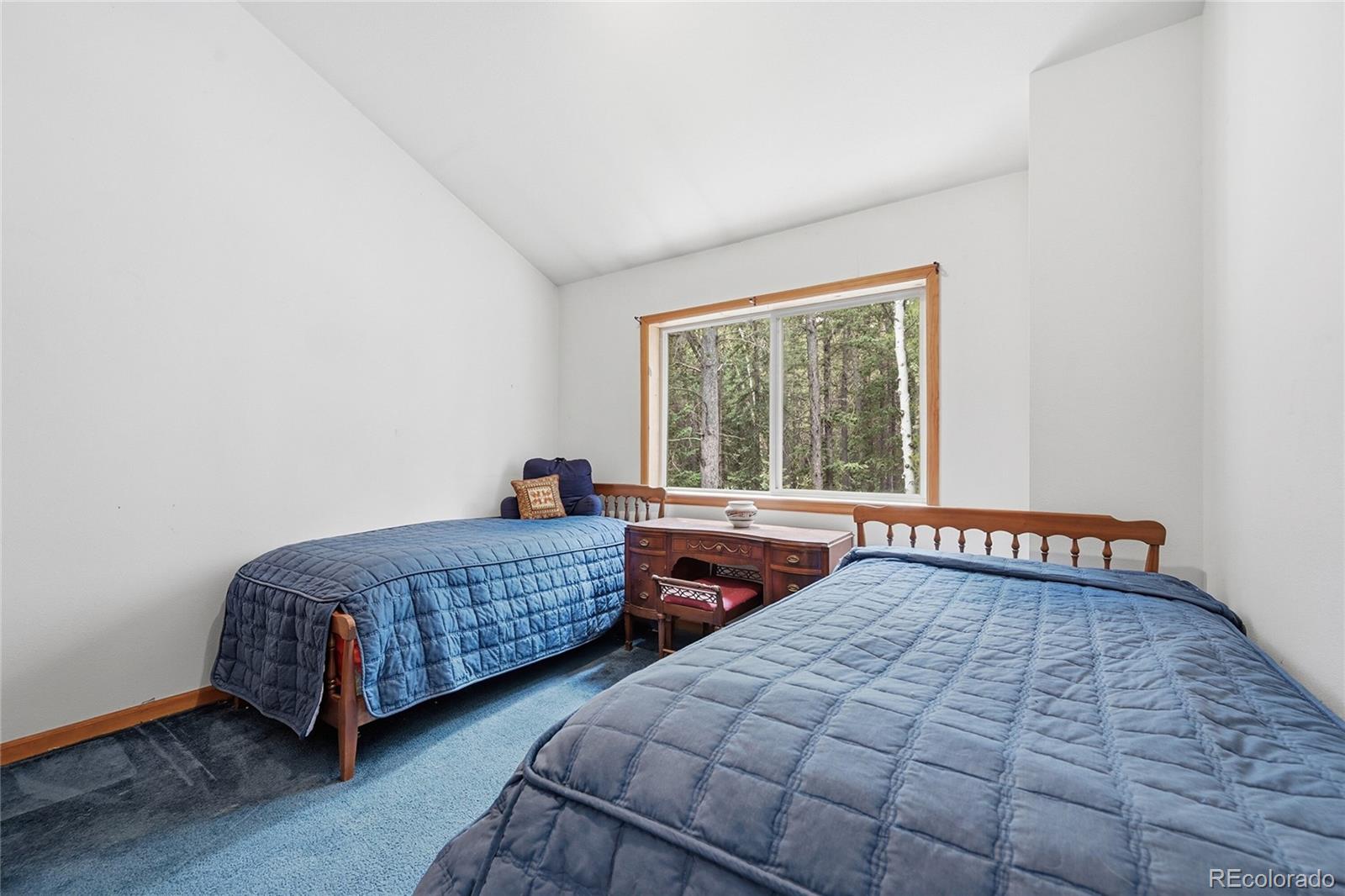 MLS Image #22 for 1419  little bear creek road,idaho springs, Colorado