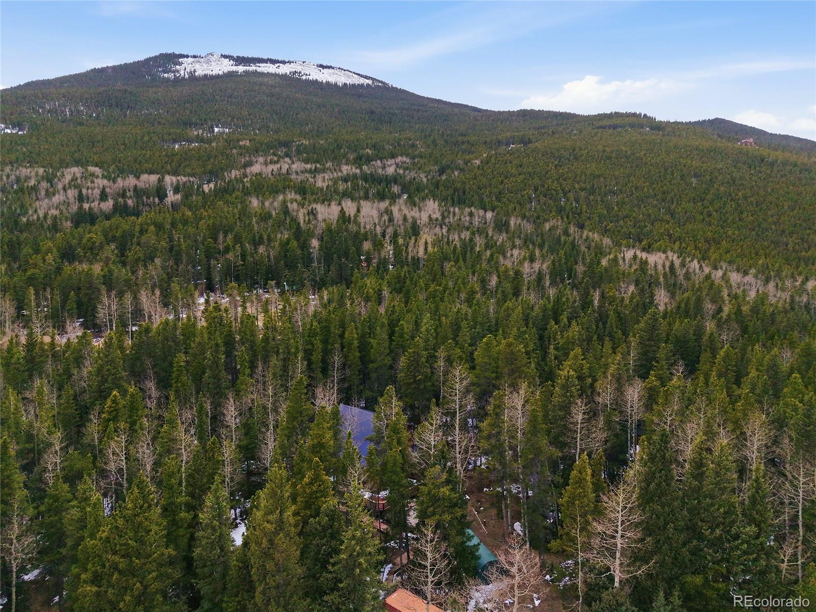 MLS Image #24 for 1419  little bear creek road,idaho springs, Colorado