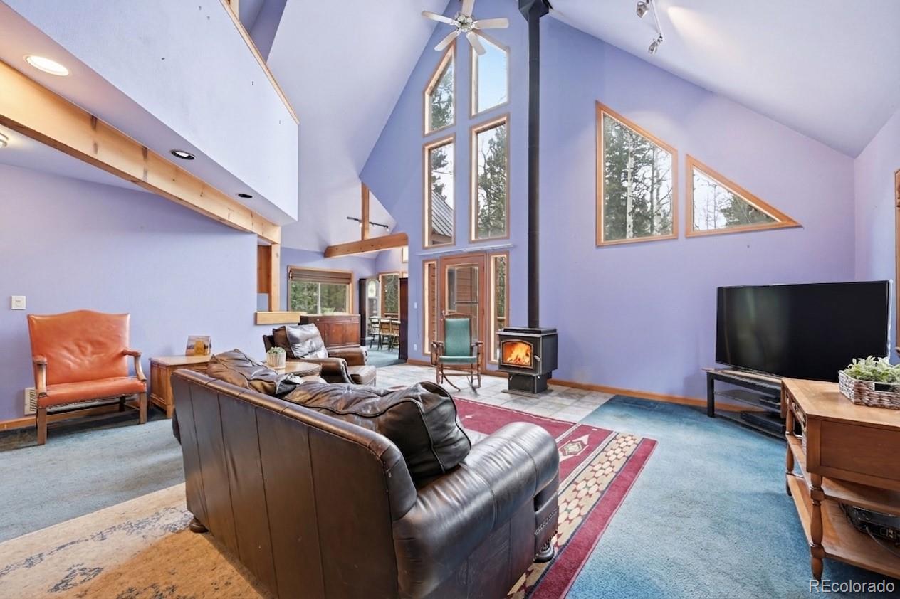 MLS Image #9 for 1419  little bear creek road,idaho springs, Colorado