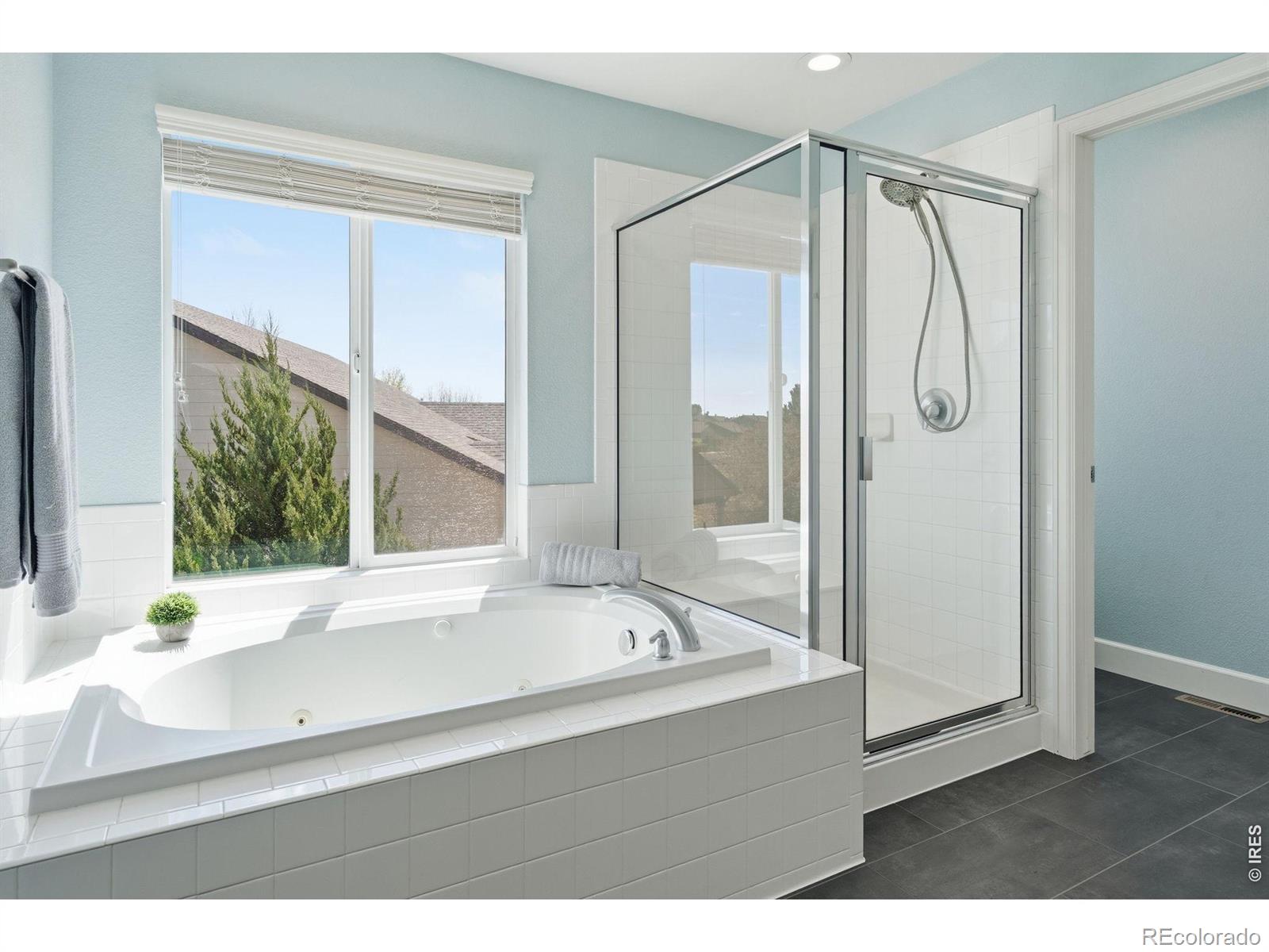 MLS Image #29 for 543  botley court,windsor, Colorado