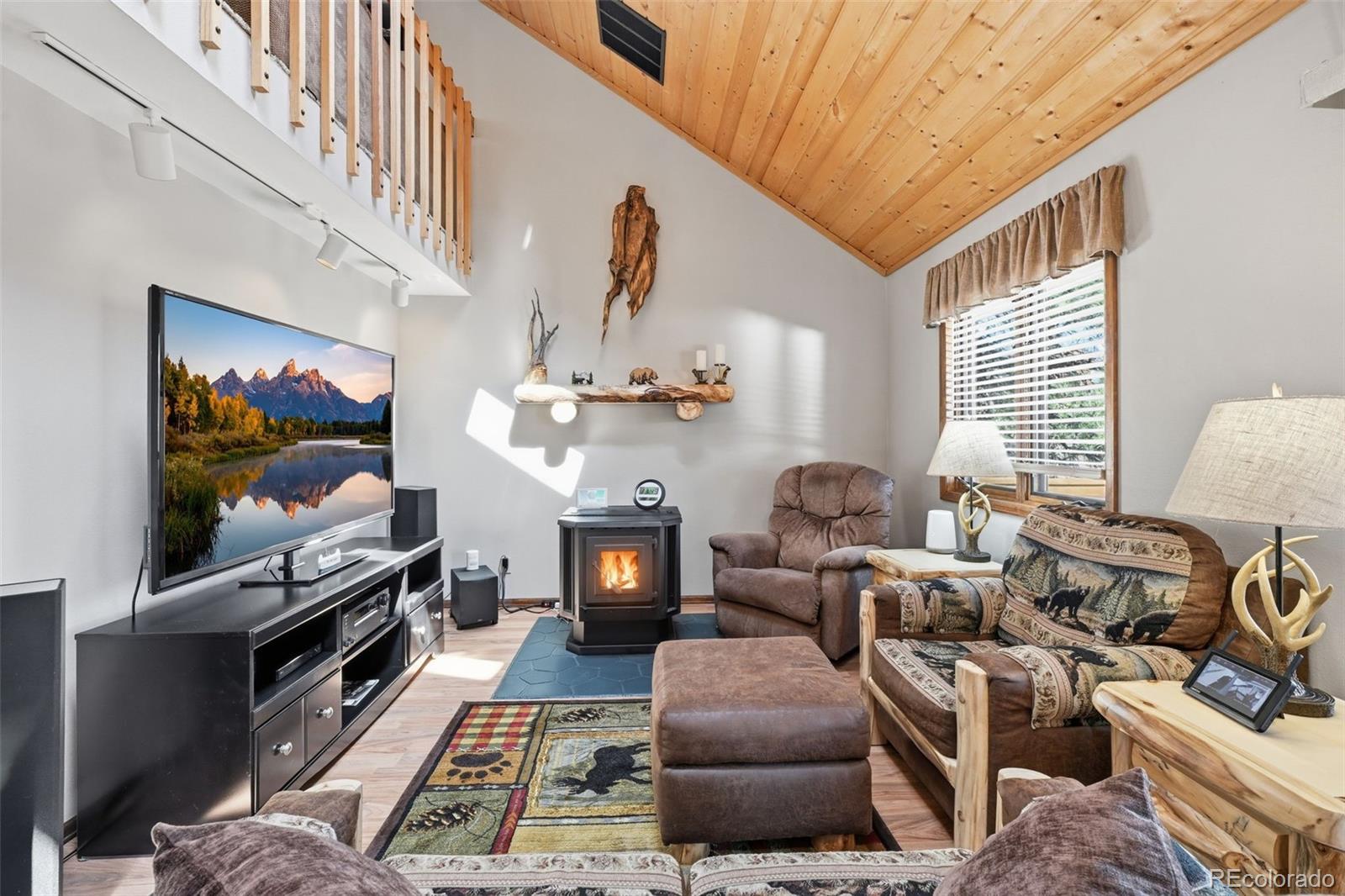MLS Image #12 for 28  signalman lane,lake george, Colorado