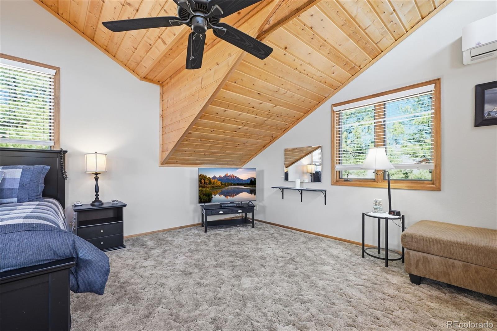MLS Image #22 for 28  signalman lane,lake george, Colorado